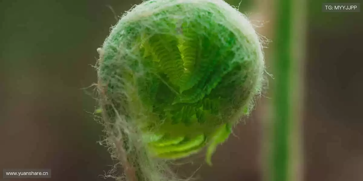 🎯专属装备，让热爱更有态度！👟